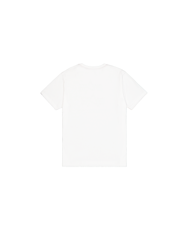 266548 white (2).png