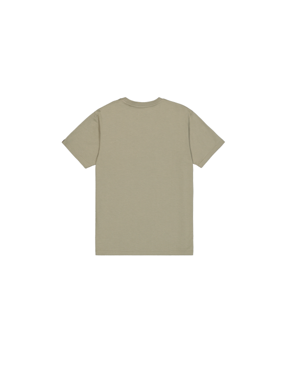 266548 olive (2).png