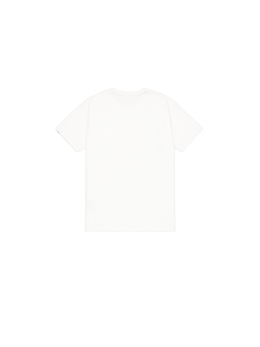 266550 white (2).png
