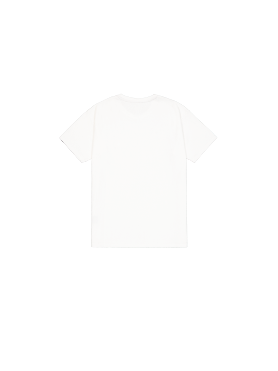 266550 white (2).png