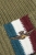 262CU0094UL00555 zielona2.jpg